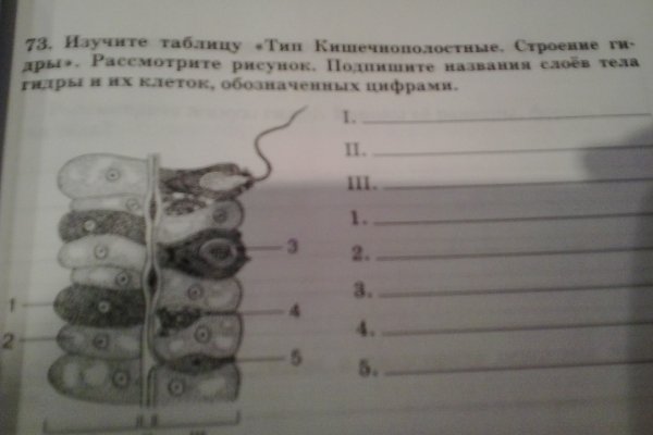 Сайт вместо гидры