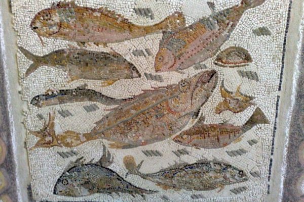 Как выводить деньги с кракена